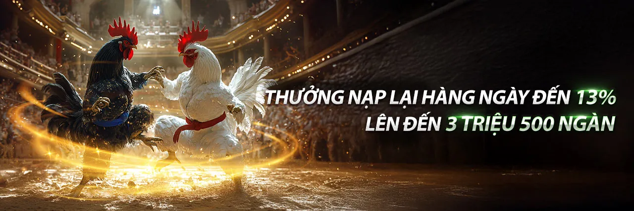 Đá Gà Trực Tuyến Hấp Dẫn tại bji88